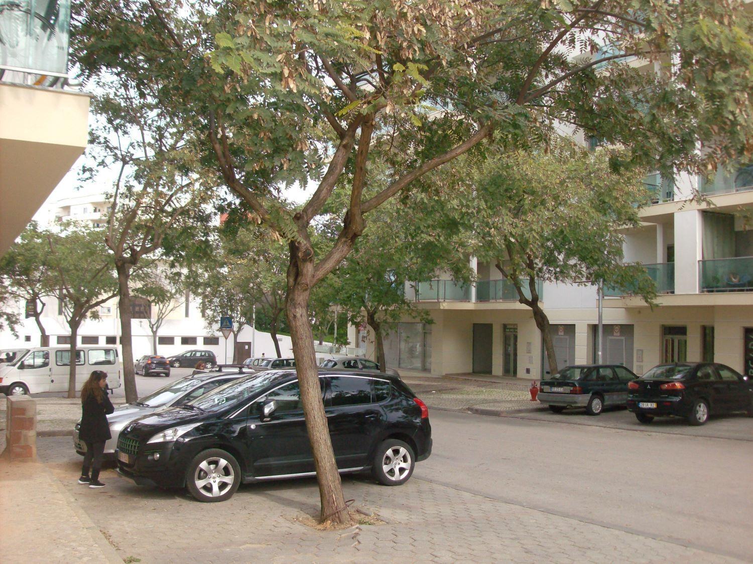 Appartement Pinheiro Portimao Luaran gambar